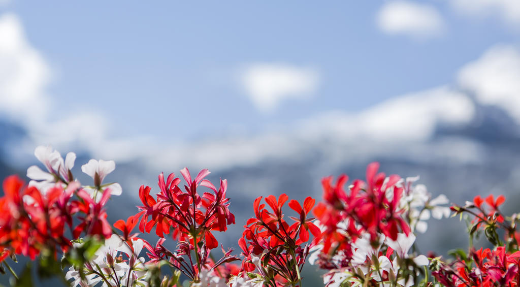 Artemis Easy Stay Self Check In-Out Saas Fee Exteriör bild